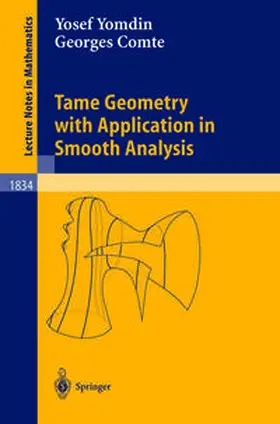 Yomdin / Comte |  Tame Geometry with Application in Smooth Analysis | eBook | Sack Fachmedien
