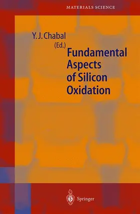 Chabal |  Fundamental Aspects of Silicon Oxidation | Buch |  Sack Fachmedien