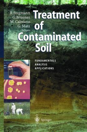 Stegmann / Matz / Brunner |  Treatment of Contaminated Soil | Buch |  Sack Fachmedien
