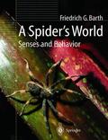 Barth |  A Spider¿s World | Buch |  Sack Fachmedien