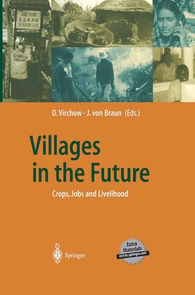 Virchow / Braun | Villages in the Future | Buch | 978-3-540-42467-3 | sack.de
