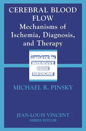 Pinsky |  Cerebral Blood Flow | Buch |  Sack Fachmedien