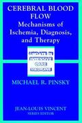 Pinsky |  Cerebral Blood Flow | Buch |  Sack Fachmedien