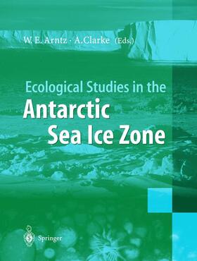 Clarke / Arntz | Ecological Studies in the Antarctic Sea Ice Zone | Buch | 978-3-540-43218-0 | sack.de