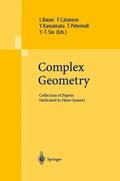 Bauer / Catanese / Kawamata |  Complex Geometry | Buch |  Sack Fachmedien