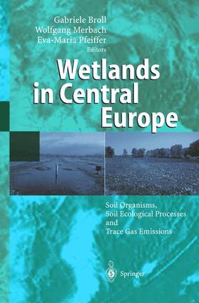 Broll / Pfeiffer / Merbach | Wetlands in Central Europe | Buch | 978-3-540-43474-0 | sack.de