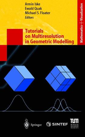 Iske / Floater / Quak | Tutorials on Multiresolution in Geometric Modelling | Buch | 978-3-540-43639-3 | sack.de