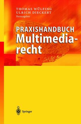 Dieckert / Wülfing | Praxishandbuch Multimediarecht | Buch | 978-3-540-43725-3 | sack.de