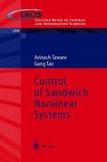 Tao / Taware |  Control of Sandwich Nonlinear Systems | Buch |  Sack Fachmedien