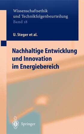 Steger / Jahnke / Achterberg | Nachhaltige Entwicklung und Innovation im Energiebereich | Buch | 978-3-540-44295-0 | sack.de