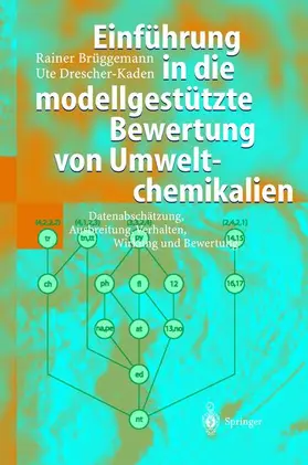 Drescher-Kaden / Brüggemann |  Einführung in die modellgestützte Bewertung von Umweltchemikalien | Buch |  Sack Fachmedien