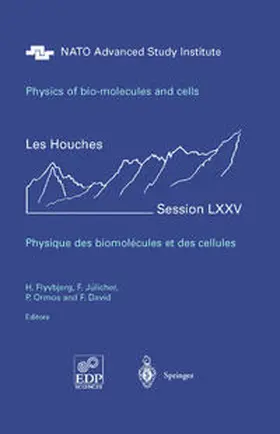 Flyvbjerg / Jülicher / Ormos |  Physics of Bio-Molecules and Cells | eBook | Sack Fachmedien