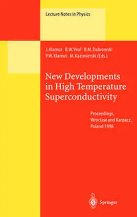 Klamut / Veal / Dabrowski | New Developments in High Temperature Superconductivity | E-Book | sack.de