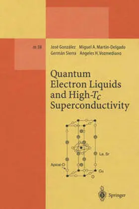 Gonzalez / Martin-Delgado / Sierra | Quantum Electron Liquids and High-Tc Superconductivity | E-Book | sack.de