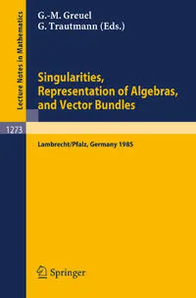 Greuel / Trautmann | Singularities, Representation of Algebras, and Vector Bundles | E-Book | sack.de