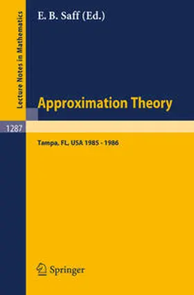 Saff | Approximation Theory. Tampa | E-Book | sack.de