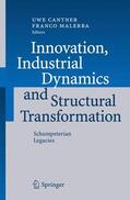 Cantner / Malerba |  Innovation, Industrial Dynamics | Buch |  Sack Fachmedien