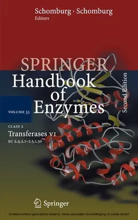 Schomburg / Chang |  Class 2 Transferases VI | eBook | Sack Fachmedien