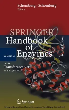 Schomburg / Chang |  Class 2 Transferases VIII | eBook | Sack Fachmedien