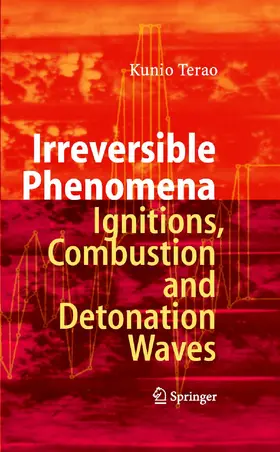 Terao | Irreversible Phenomena | E-Book | sack.de