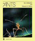 Wilson / Hölldobler |  The Ants | Buch |  Sack Fachmedien