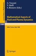 Toscani / Rionero / Boffi |  Mathematical Aspects of Fluid and Plasma Dynamics | Buch |  Sack Fachmedien