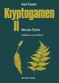 Esser |  Kryptogamen II Moose · Farne | Buch |  Sack Fachmedien