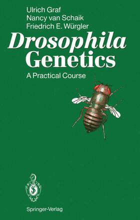 Graf / Würgler / Schaik | Drosophila Genetics | Buch | 978-3-540-54327-5 | sack.de