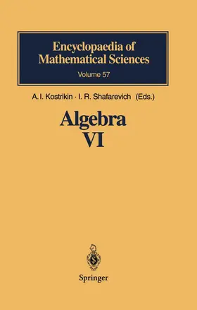 Kostrikin / Shafarevich |  Algebra VI | Buch |  Sack Fachmedien