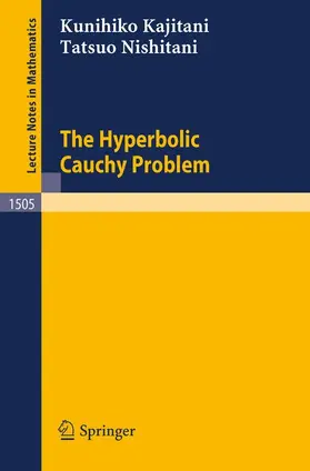Nishitani / Kajitani |  The Hyperbolic Cauchy Problem | Buch |  Sack Fachmedien