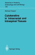 Bauer |  Cytokeratins in Intracranial and Intraspinal Tissues | Buch |  Sack Fachmedien