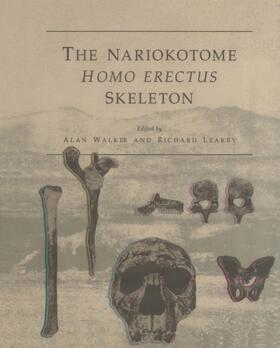 Leakey / Walker | The Nariokotome Homo Erectus Skeleton | Buch | 978-3-540-56301-3 | sack.de
