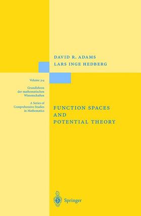 Hedberg / Adams | Function Spaces and Potential Theory | Buch | 978-3-540-57060-8 | sack.de