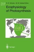 Caldwell / Schulze |  Ecophysiology of Photosynthesis | Buch |  Sack Fachmedien