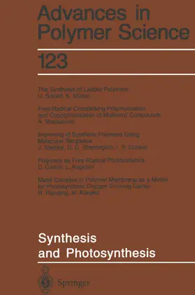 Synthesis and Photosynthesis | Buch | 978-3-540-58908-2 | www.sack.de