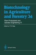 Bajaj |  Plant Protoplasts and Genetic Engineering VI | Buch |  Sack Fachmedien