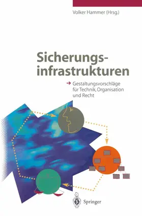 Hammer |  Sicherungsinfrastrukturen | Buch |  Sack Fachmedien