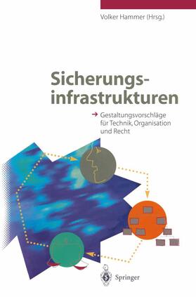 Hammer | Sicherungsinfrastrukturen | Buch | 978-3-540-60081-7 | sack.de