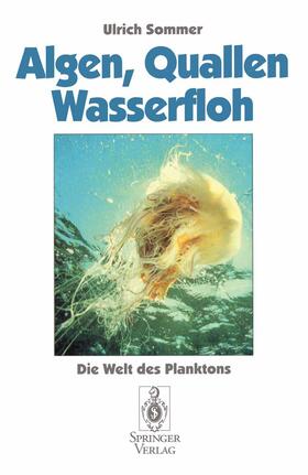 Sommer | Algen, Quallen, Wasserfloh | Buch | 978-3-540-60307-8 | sack.de