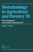 Bajaj |  Plant Protoplasts and Genetic Engineering VII | Buch |  Sack Fachmedien
