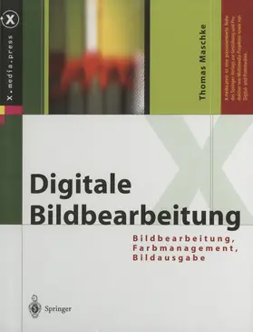Shub / Cucker |  Foundations of Computational Mathematics | Buch |  Sack Fachmedien