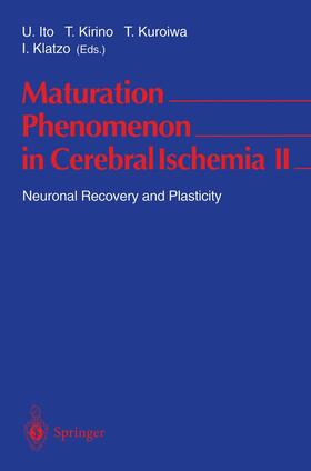 Ito / Klatzo / Kirino | Maturation Phenomenon in Cerebral Ischemia II | Buch | 978-3-540-61673-3 | sack.de