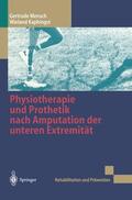Kaphingst / Mensch |  Physiotherapie und Prothetik nach Amputation der unteren Extremität | Buch |  Sack Fachmedien