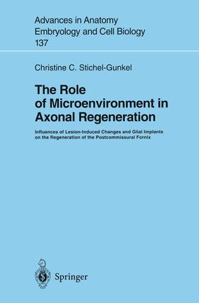 Stichel-Gunkel |  The Role of Microenvironment in Axonal Regeneration | Buch |  Sack Fachmedien