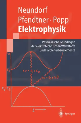 Neundorf / Popp / Pfendtner |  Elektrophysik | Buch |  Sack Fachmedien