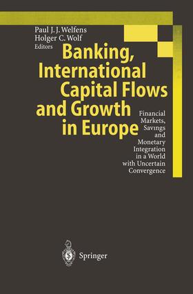 Wolf / Welfens |  Banking, International Capital Flows and Growth in Europe | Buch |  Sack Fachmedien