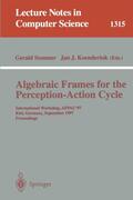 Koenderink / Sommer |  Algebraic Frames for the Perception-Action Cycle | Buch |  Sack Fachmedien