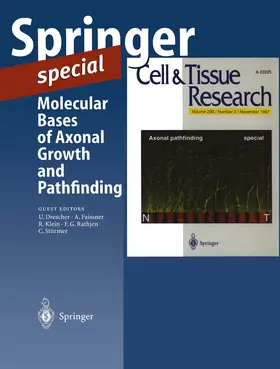  Molecular Bases of Axonal Growth and Pathfinding | Buch |  Sack Fachmedien