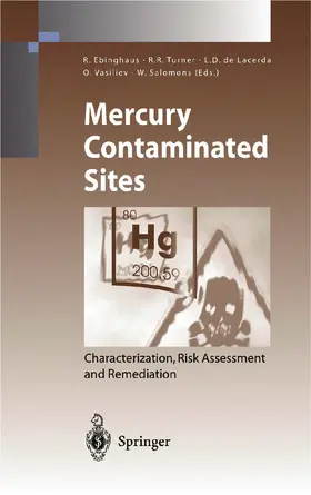 Ebinghaus / Turner / Salomons |  Mercury Contaminated Sites | Buch |  Sack Fachmedien