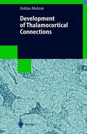 Molnar |  Development of Thalamocortical Connections | Buch |  Sack Fachmedien